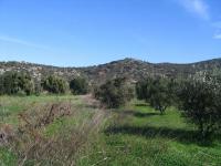 Grundstück kaufen Hamilo, Lakonia, Agios Nikolaos, Lasithi, Kreta klein hnbdnemixjxw