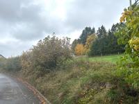 Grundstück kaufen Hellenthal klein p9ewmhez6vnk