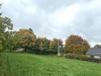 Grundstück kaufen Hellenthal klein ruxhnvosvi7j