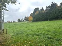 Grundstück kaufen Hellenthal klein u3ryw8ni6ovj