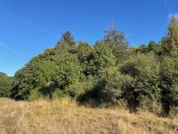 Grundstück kaufen Herborn (Lahn-Dill-Kreis) klein 5um3bfio86k6