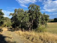 Grundstück kaufen Herborn (Lahn-Dill-Kreis) klein nb7oepdc7e69
