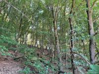 Grundstück kaufen Herborn (Lahn-Dill-Kreis) klein s2txhsgynlpc