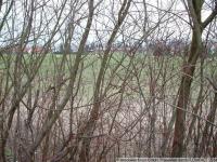 Grundstück kaufen Hille klein c5ymwbs08nuw