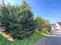 Grundstück kaufen Hillscheid klein 9fo496nbmzpw