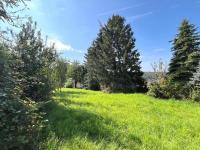 Grundstück kaufen Hillscheid klein q4uho3vatity