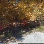 Grundstück kaufen Horseshoe Bend klein z007u8imjeix