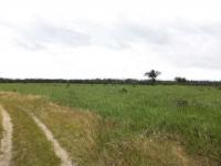 Grundstück kaufen klein 0lcx3drthi5e