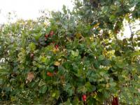 Grundstück kaufen klein 24q1dfes32sv