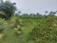 Grundstück kaufen klein 3n6cum5rx6pf