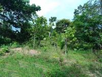 Grundstück kaufen klein 5s6rhgbixshy