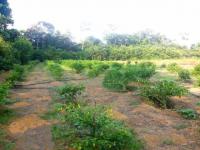 Grundstück kaufen klein 6b1pky9a05uo