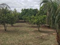 Grundstück kaufen klein 75tf9bv4ukrl