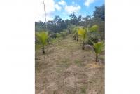 Grundstück kaufen klein 8r9q6fmdrj62