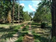 Grundstück kaufen klein cl6hhs2294hk