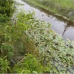 Grundstück kaufen klein dipo75q5xn3t