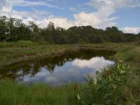 Grundstück kaufen klein ee5mu66yxy7n