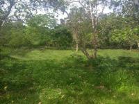 Grundstück kaufen klein eizbgg4nu0h7