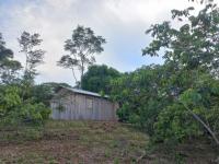 Grundstück kaufen klein fn8u7uodsw0s