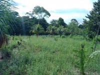 Grundstück kaufen klein hvqbutymr926