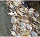 Grundstück kaufen klein iiohtmxbqv0g