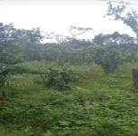 Grundstück kaufen klein it9d73bsnhm1