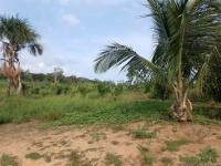 Grundstück kaufen klein kahpf9os248x