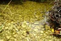 Grundstück kaufen klein mcep13klozjm