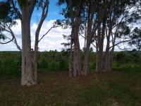 Grundstück kaufen klein ooegc21m5dq1