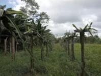 Grundstück kaufen klein p1tkb9a0wen6