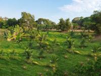 Grundstück kaufen klein qf3gtv1w6y54