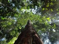 Grundstück kaufen klein qz16fdlfskpu