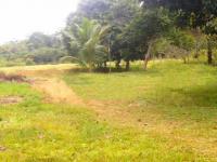 Grundstück kaufen klein rzklj8s4dgti