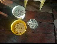 Grundstück kaufen klein vd1n52ygk0ze