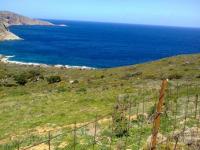 Grundstück kaufen Irakleio - Agia Pelagia klein nlwsei3fx3ng