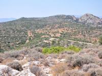 Grundstück kaufen Istro klein csjlj62cnp0o