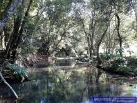 Grundstück kaufen Jovere-Villarrica klein xd7j7sd6glo9