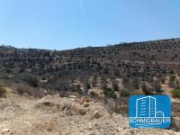 Grundstück kaufen Kalamaki klein 3cyx7xj6e1i0