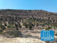 Grundstück kaufen Kalamaki klein fxqleehvyu9s