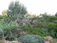 Grundstück kaufen Kalathas klein 0uewflyvqaok