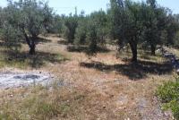 Grundstück kaufen Kalathas klein 2wjuhmpy1g3f