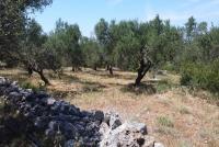 Grundstück kaufen Kalathas klein 6mol4iqdj6qs