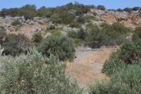 Grundstück kaufen Kalo Chorio bei Agios Nikolaos klein qxrl9vjxen03