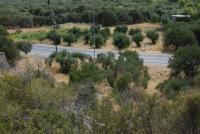 Grundstück kaufen Kalo Chorio bei Agios Nikolaos klein z43tp28gf51z