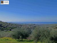 Grundstück kaufen Kalochorafitis klein 3sipolpfhgue