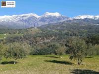 Grundstück kaufen Kalochorafitis klein w6j1qlgq10ic