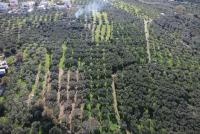 Grundstück kaufen Kaloudiana klein 23tia408dyot