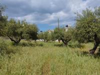 Grundstück kaufen Kalyves klein 4hir3k8x3a9p