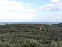 Grundstück kaufen Kalyves klein bebkpd4shrh3