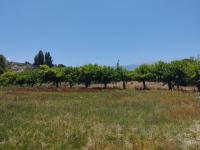 Grundstück kaufen Kalyves klein n4skc9zqj8im